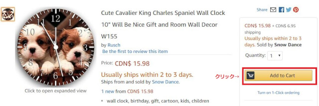 CA購入 1 - 【アマゾンカナダ購入完全ガイド2020】クーポン＆キャンペーンコード＆割引セールAmazon.caで個人輸入