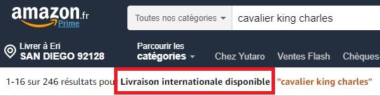 FR検索 3 1 - Amazon.fr（アマゾンフランス）の購入方法紹介！割引クーポン＆キャンペーンコード＆セールの買い方、登録方法・個人輸入買い物Amazon.fr（アマゾンフランス）購入完全ガイド2020