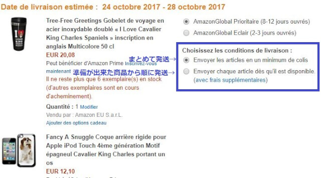 FR購入 6 - Amazon.fr（アマゾンフランス）の購入方法紹介！割引クーポン＆キャンペーンコード＆セールの買い方、登録方法・個人輸入買い物Amazon.fr（アマゾンフランス）購入完全ガイド2020
